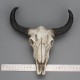 Crâne de vache à longue corne suspendue taille