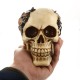 Crâne décoratif Style Steam Punk en résine